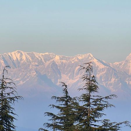 The Mystic Pines Hotell Nainital Exteriör bild